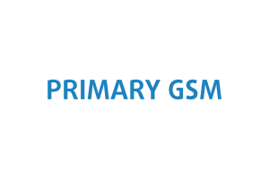 Primary Gsm