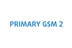 Primary Gsm 2