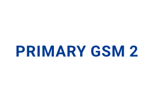 Primary Gsm 2